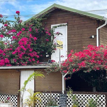 Le Cosy Bungalow De Lili / 5Min De L'Aeroport 萨莱比梅 外观 照片